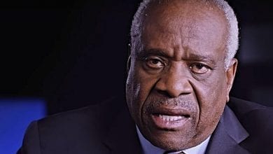 michael pack created equal interview