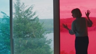 A scene from Swallow