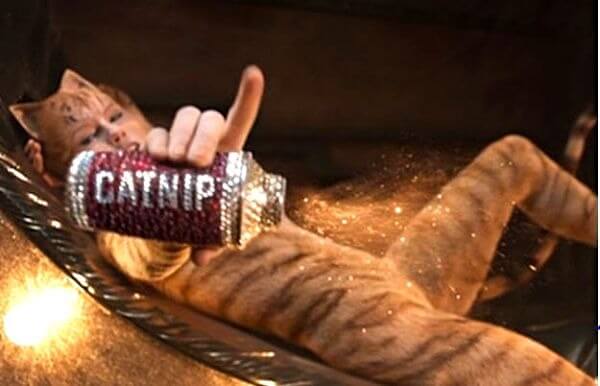 Taylor Swift holds catnip in Cats