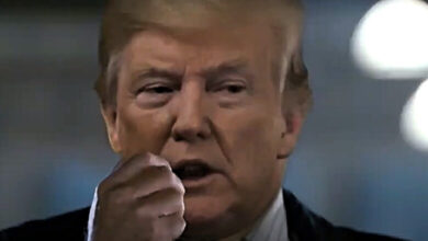 president trump independence day tweet