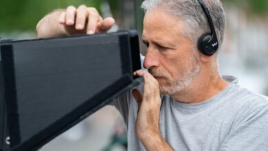 jon stewart directing Irresistible