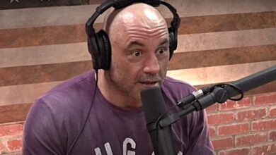 joe rogan alyssa milano