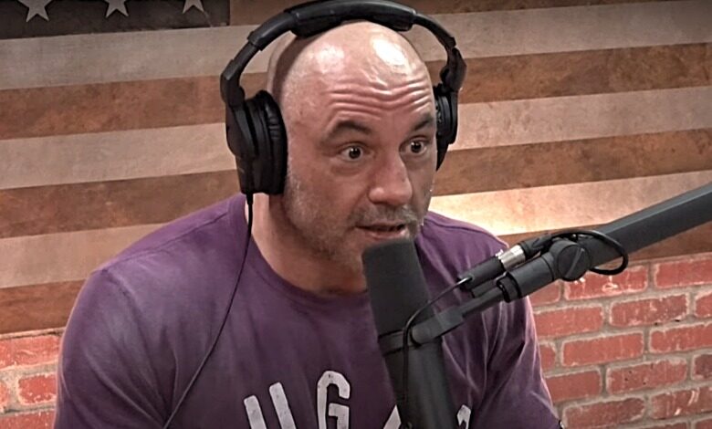 joe rogan alyssa milano