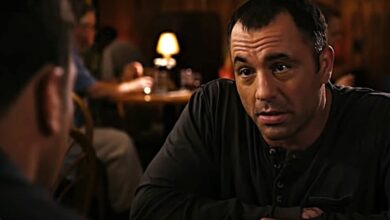 joe rogan actor