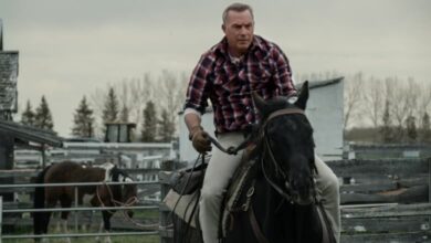 let him go kevin costner horse