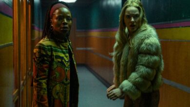 I'm Your Woman movie review Rachel Broshnahan