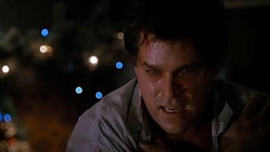 turbulence movie review Ray LIotta