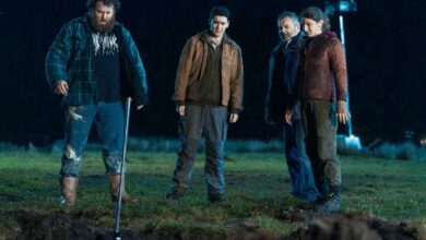 Boys From County Hell_review