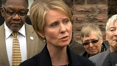 cynthia nixon shoplifting tweet