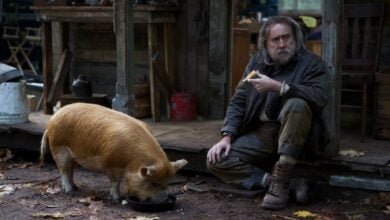 pig nicolas cage review