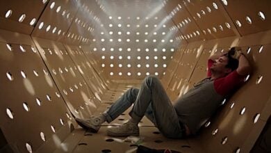 dave made a maze review