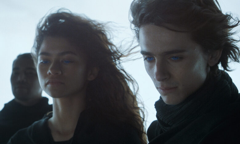 dune review zendaya Timothee Chalet