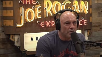 Joe rogan mainstream media lies
