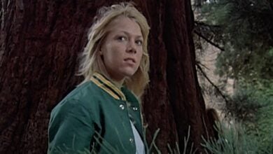 watcher in the woods review Lynn holly Johnson