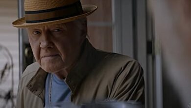 ray Donovan the movie review Jon Voight