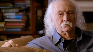 David Crosby Joe rogan n word
