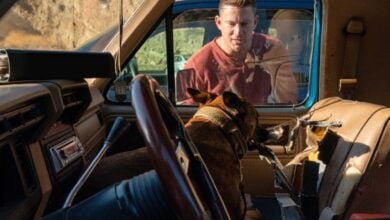 dog movie review