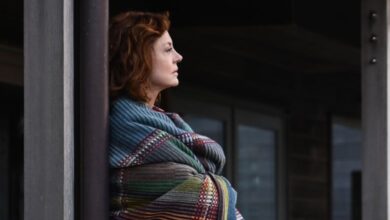 susan sarandon blackbird