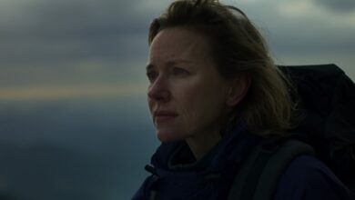 Infinite Storm review Naomi Watts