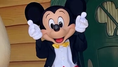woke disney open letter conservatives