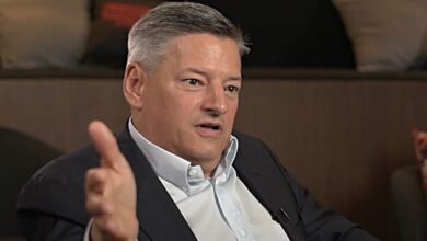 Ted Sarandos red pilled Netflix