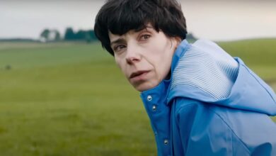 lost king review sally Hawkins