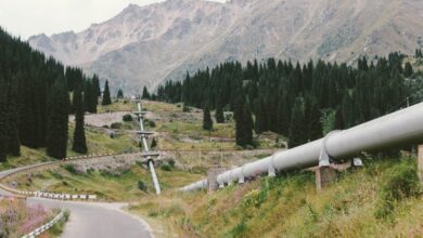 pipeline between forest space