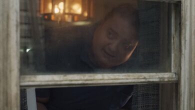 The Whale review Brendan Fraser window