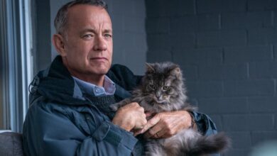 Man Called Otto Tom Hanks cat