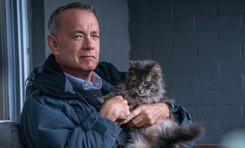 Man Called Otto Tom Hanks cat