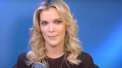 Megyn Kelly MeToo Don Lemon
