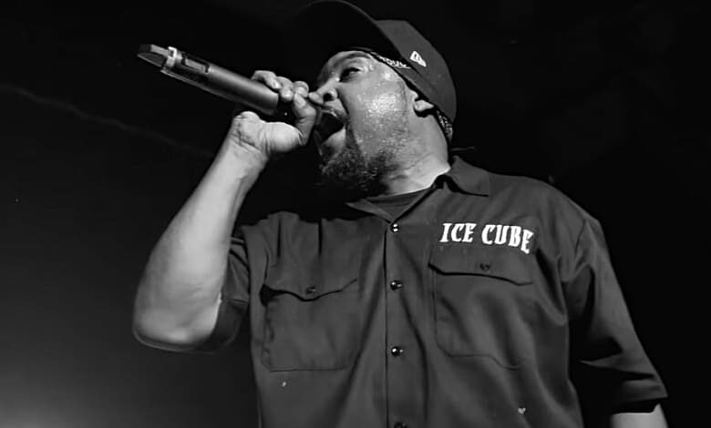 ice cube anti vax media