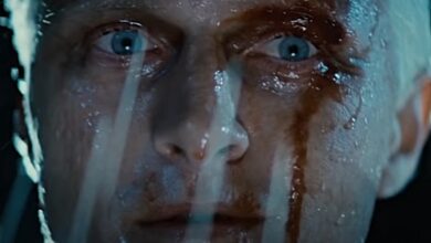 blade runner Rutger hater-