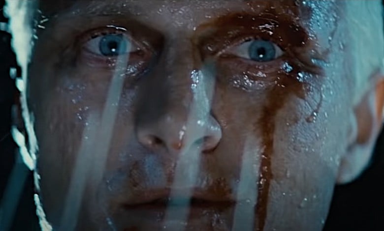 blade runner Rutger hater-