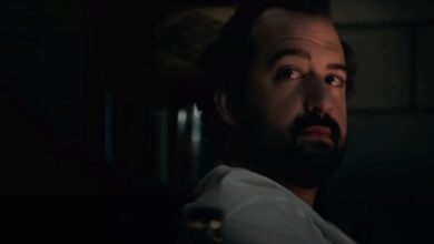 another evil review Steve Zissis