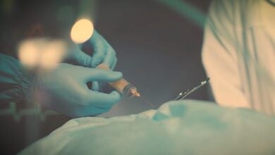 damaged documentary trans youth canceled