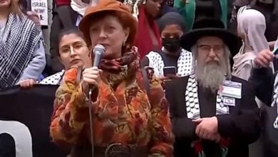 Hamas Cancel Culture Susan Sarandon