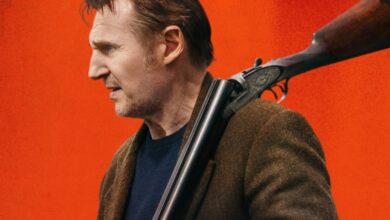 In The Land Of Saints And Sinners_Liam Neeson trump