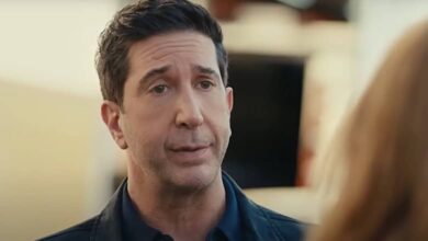 David Schwimmer campus protests