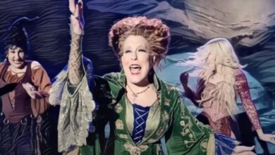 Bette Midler Hillary Clinton election denial