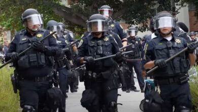 Anarchy U review Daily Caller Cam Higby