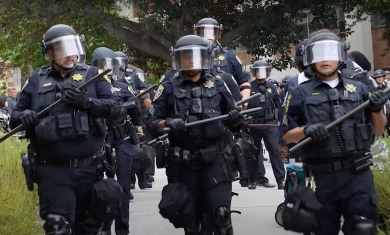 Anarchy U review Daily Caller Cam Higby