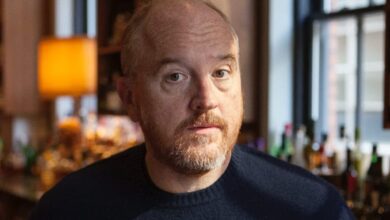 Sorry Not Sorry review Louis CK