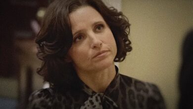 Veep Julia Louis Dreyfus Kamala Harris Daily Show