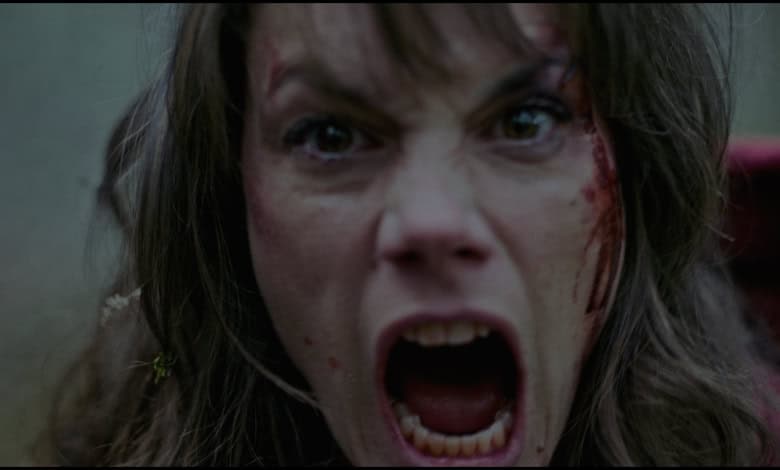 OUT COME THE WOLVES - review Missy Peregrym