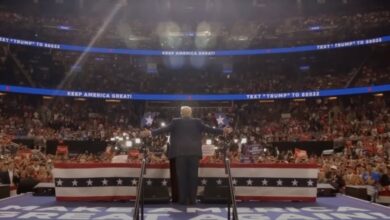 vindicating trump review D'Souza