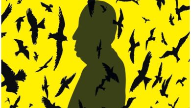 My Name Is Alfred Hitchcock_review poster-