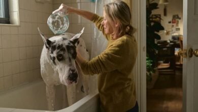 The Friend Naomi Watts bathes Apollo the dog