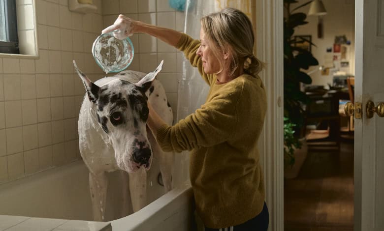 The Friend Naomi Watts bathes Apollo the dog