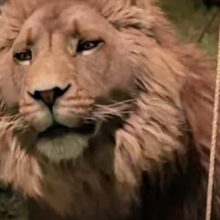 Chronicles of Narnia Aslan Meryl Streep